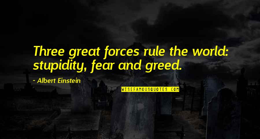 Rule Of Three Quotes By Albert Einstein: Three great forces rule the world: stupidity, fear