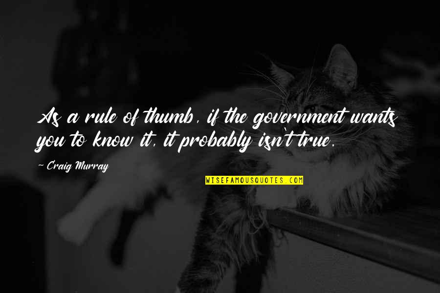 Rule Of Thumb Quotes By Craig Murray: As a rule of thumb, if the government