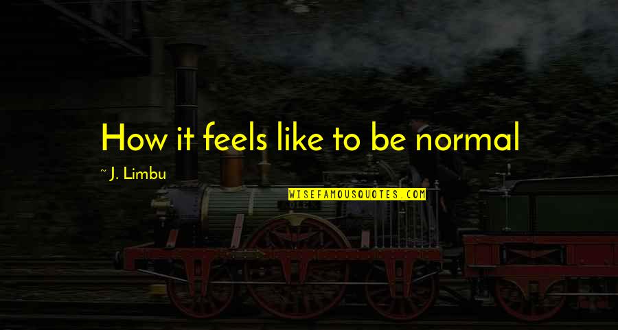 Rulebook Examples Quotes By J. Limbu: How it feels like to be normal