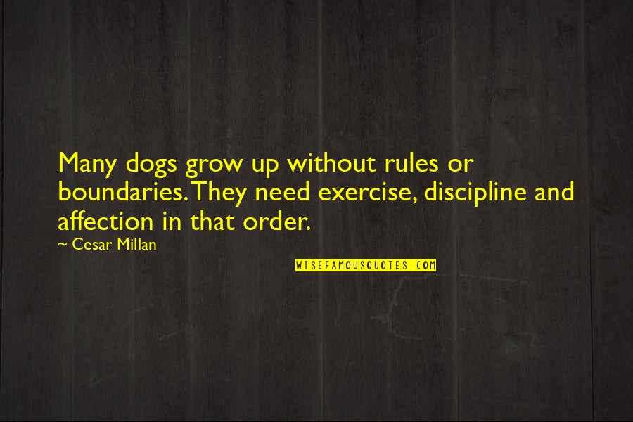 Rules And Order Quotes By Cesar Millan: Many dogs grow up without rules or boundaries.