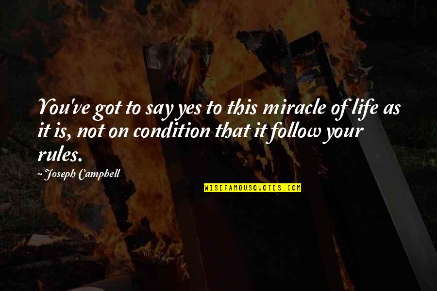 Rules To Life Quotes By Joseph Campbell: You've got to say yes to this miracle