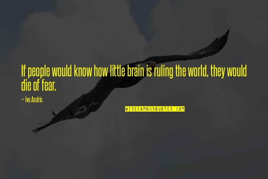 Ruling The World Quotes By Ivo Andric: If people would know how little brain is