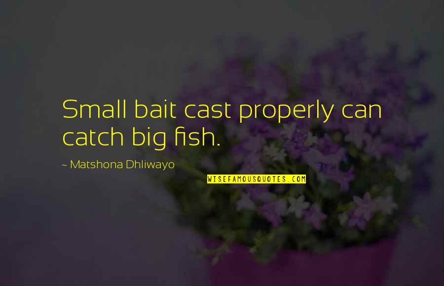 Rulon Jones Quotes By Matshona Dhliwayo: Small bait cast properly can catch big fish. Rulon Jones Quotes By Matshona Dhliwayo: Small bait cast properly can catch big fish.