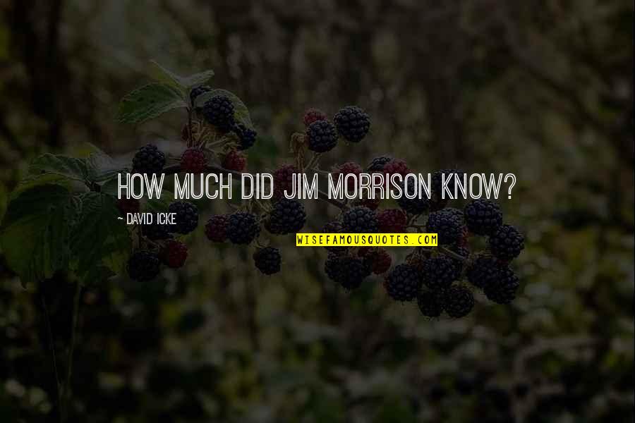 Rulw Quotes By David Icke: How much did Jim Morrison know?