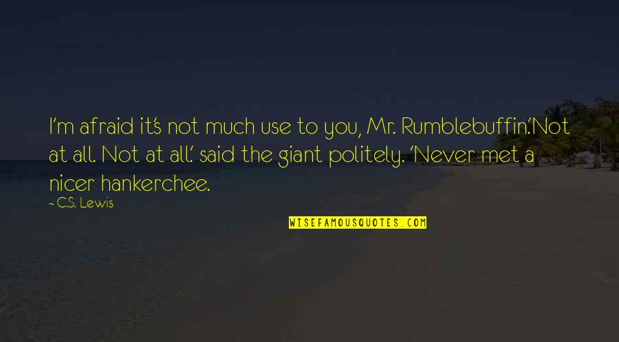 Rumblebuffin Quotes By C.S. Lewis: I'm afraid it's not much use to you,