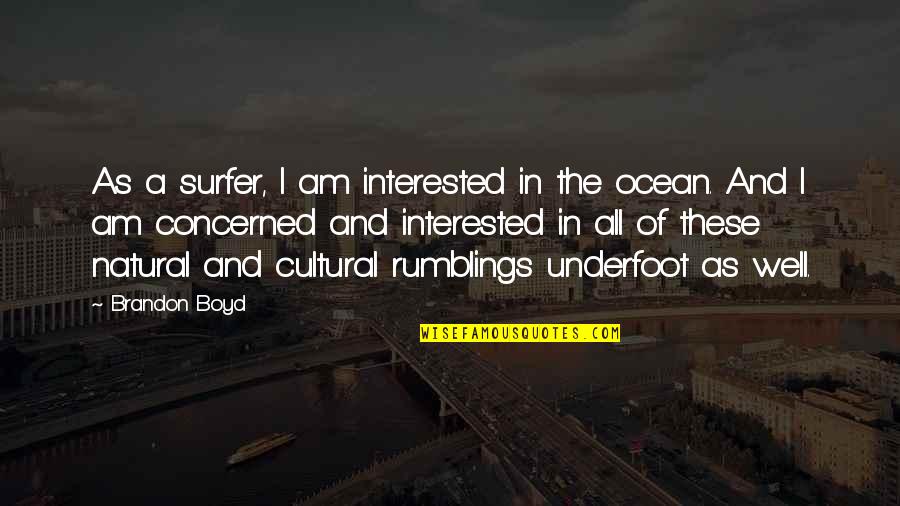 Rumblings Quotes By Brandon Boyd: As a surfer, I am interested in the