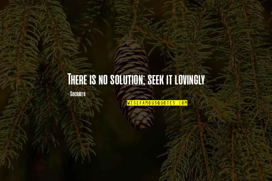 Rumi Change Quotes By Socrates: There is no solution; seek it lovingly
