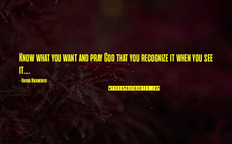 Rumi Daybook Quotes By Unoma Nwankwor: Know what you want and pray God that