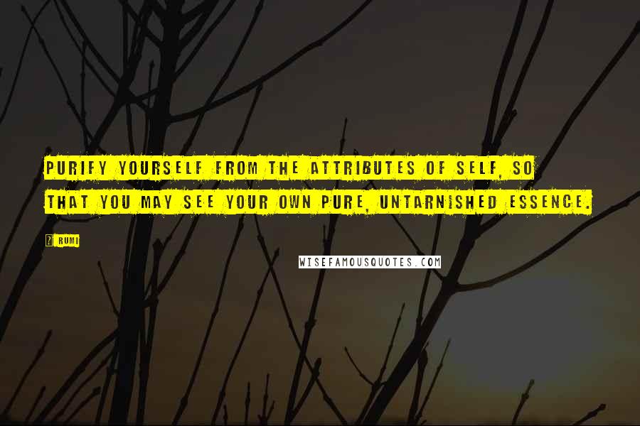 Rumi quotes: Purify yourself from the attributes of self, so that you may see your own pure, untarnished essence.