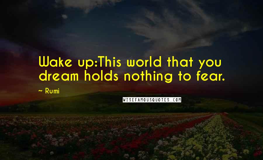 Rumi quotes: Wake up:This world that you dream holds nothing to fear.