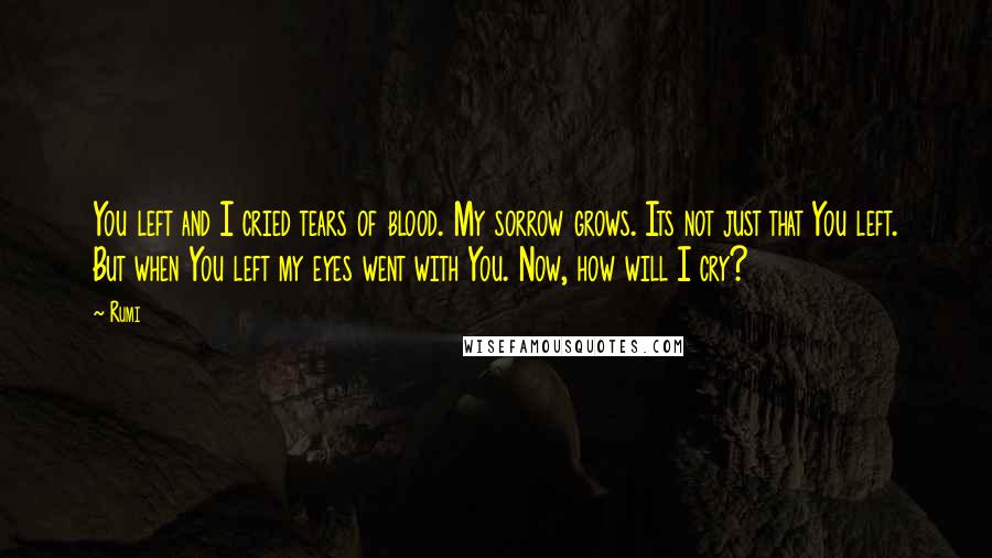 Rumi quotes: You left and I cried tears of blood. My sorrow grows. Its not just that You left. But when You left my eyes went with You. Now, how will I