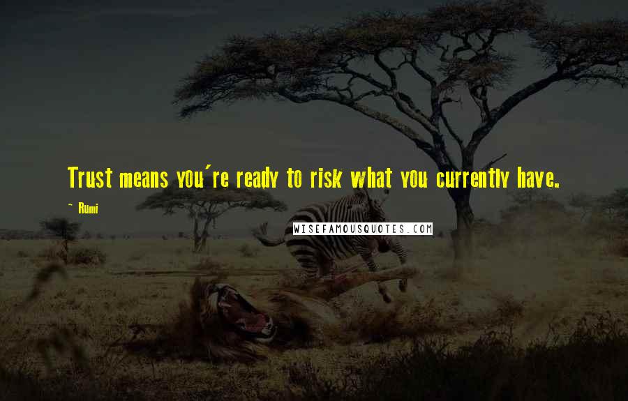 Rumi quotes: Trust means you're ready to risk what you currently have.