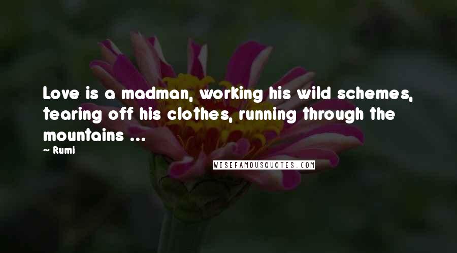 Rumi quotes: Love is a madman, working his wild schemes, tearing off his clothes, running through the mountains ...