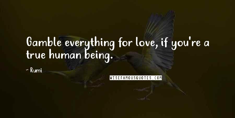 Rumi quotes: Gamble everything for love, if you're a true human being.