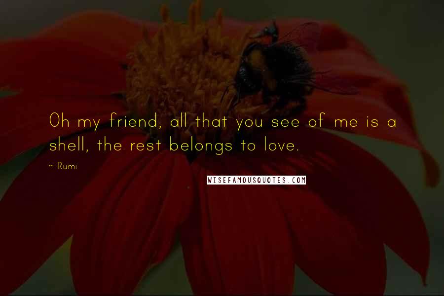 Rumi quotes: Oh my friend, all that you see of me is a shell, the rest belongs to love.