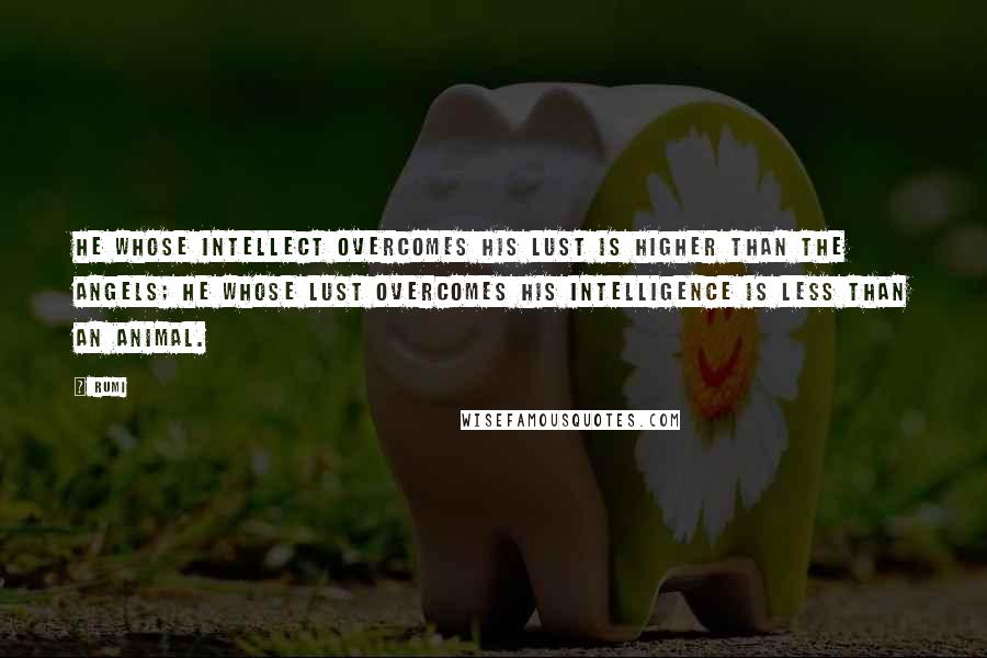 Rumi quotes: He whose intellect overcomes his lust is higher than the angels; he whose lust overcomes his intelligence is less than an animal. Rumi quotes: He whose intellect overcomes his lust is higher than the angels; he whose lust overcomes his intelligence is less than an animal.