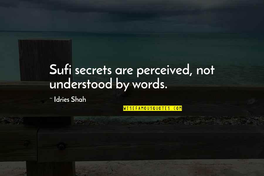 Rumi Sufism Quotes By Idries Shah: Sufi secrets are perceived, not understood by words.