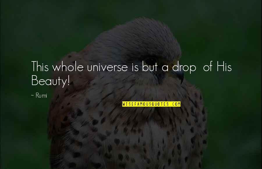 Rumi Universe Quotes By Rumi: This whole universe is but a drop of