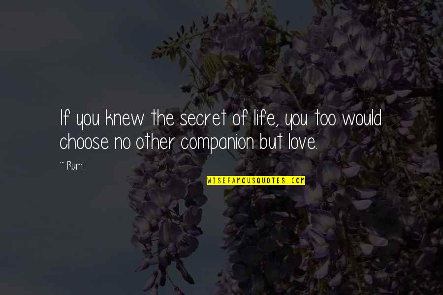 Rumi Wisdom Quotes By Rumi: If you knew the secret of life, you