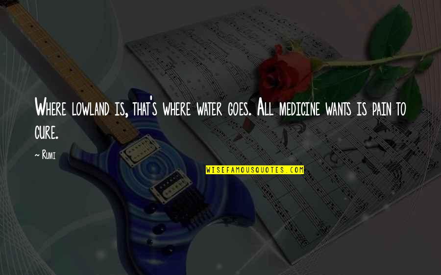 Rumi Wisdom Quotes By Rumi: Where lowland is, that's where water goes. All