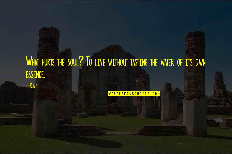 Rumi Wisdom Quotes By Rumi: What hurts the soul? To live without tasting