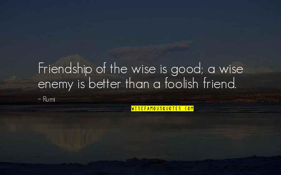 Rumi Wisdom Quotes By Rumi: Friendship of the wise is good; a wise