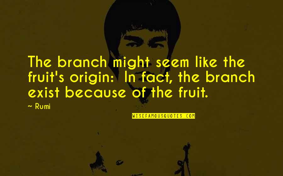 Rumi's Quotes By Rumi: The branch might seem like the fruit's origin: