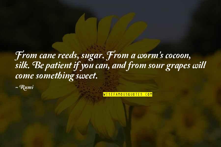 Rumi's Quotes By Rumi: From cane reeds, sugar. From a worm's cocoon,