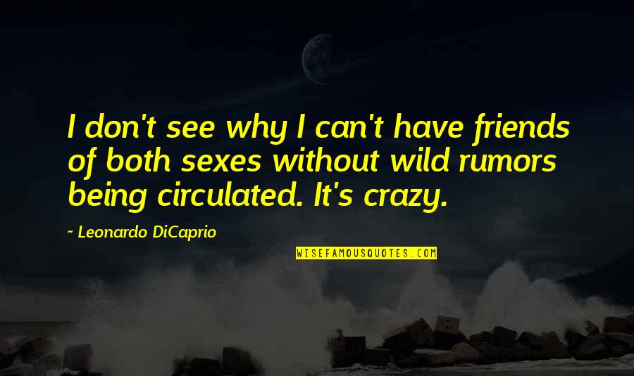Rumors And Friends Quotes By Leonardo DiCaprio: I don't see why I can't have friends