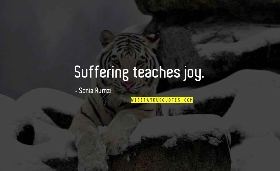 Rumzi Quotes By Sonia Rumzi: Suffering teaches joy.