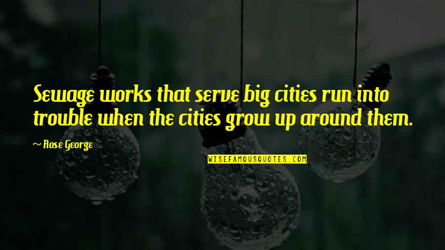 Run Around Quotes By Rose George: Sewage works that serve big cities run into