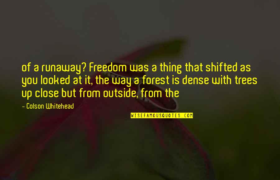 Runaway Quotes By Colson Whitehead: of a runaway? Freedom was a thing that