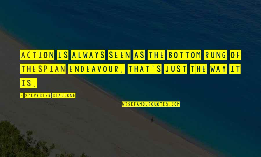 Rung Quotes By Sylvester Stallone: Action is always seen as the bottom rung Rung Quotes By Sylvester Stallone: Action is always seen as the bottom rung