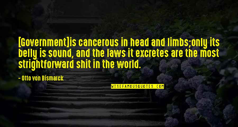 Rungtap Quotes By Otto Von Bismarck: [Government]is cancerous in head and limbs;only its belly