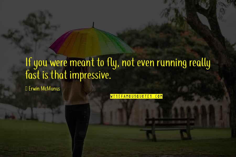 Running Fast Quotes By Erwin McManus: If you were meant to fly, not even