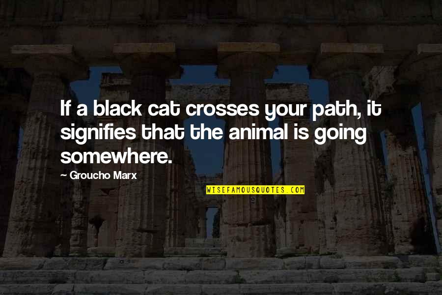 Running From Feelings Love Quotes By Groucho Marx: If a black cat crosses your path, it
