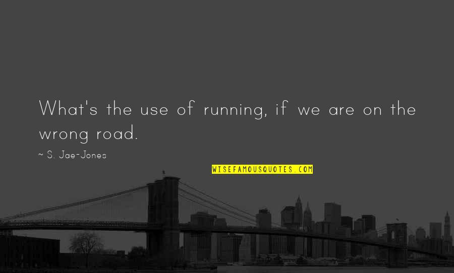 Running On The Road Quotes By S. Jae-Jones: What's the use of running, if we are