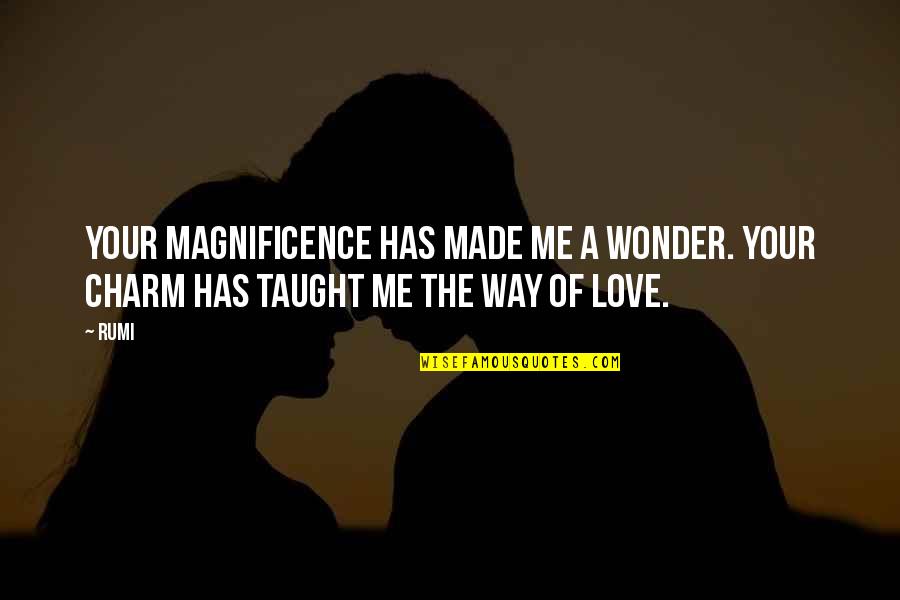 Running Uphill Quotes By Rumi: Your magnificence has made me a wonder. Your