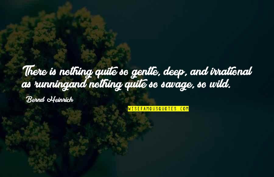 Running Wild Quotes By Bernd Heinrich: There is nothing quite so gentle, deep, and