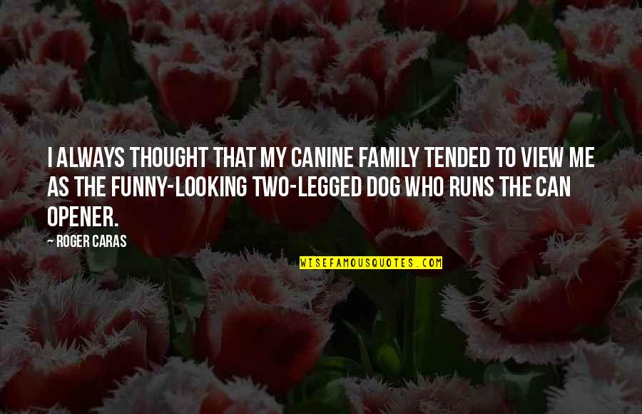 Running With Your Dog Quotes By Roger Caras: I always thought that my canine family tended