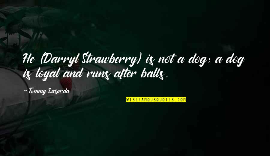 Running With Your Dog Quotes By Tommy Lasorda: He (Darryl Strawberry) is not a dog; a