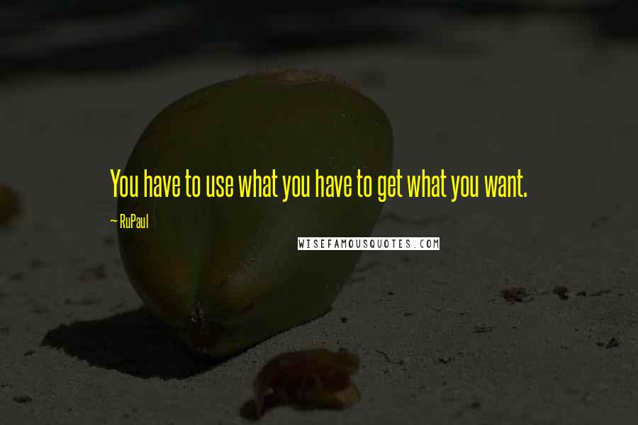 RuPaul quotes: You have to use what you have to get what you want.