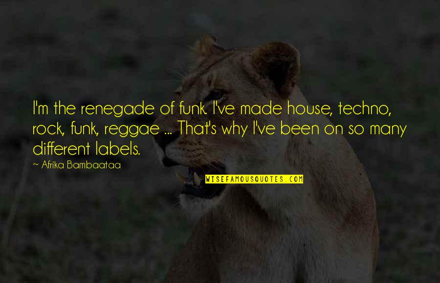 Rupblicans Quotes By Afrika Bambaataa: I'm the renegade of funk. I've made house,