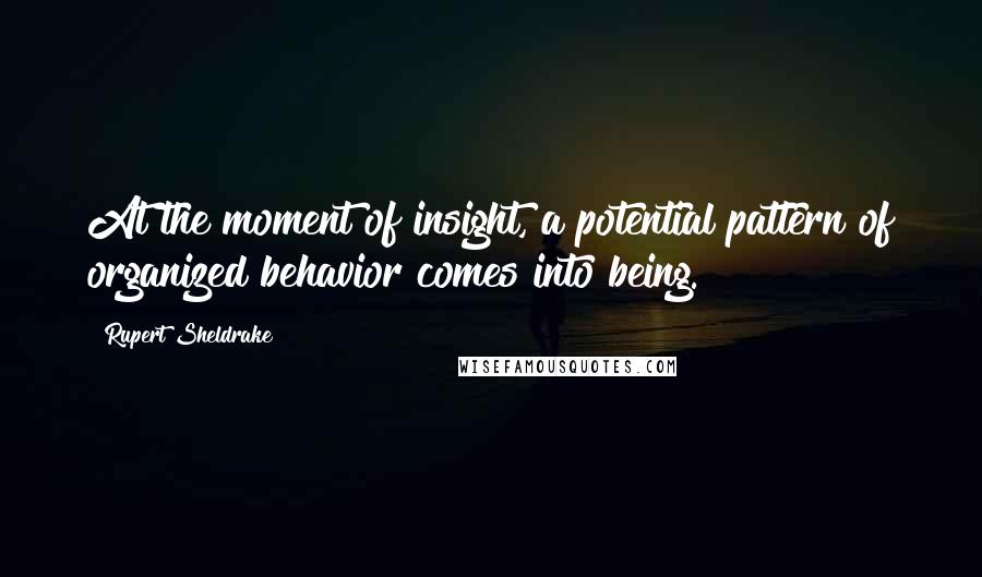 Rupert Sheldrake quotes: At the moment of insight, a potential pattern of organized behavior comes into being.