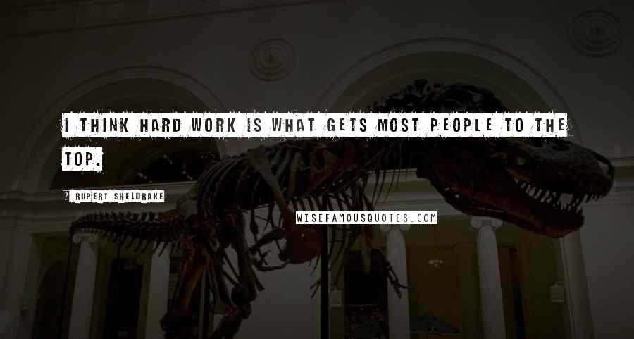 Rupert Sheldrake quotes: I think hard work is what gets most people to the top.