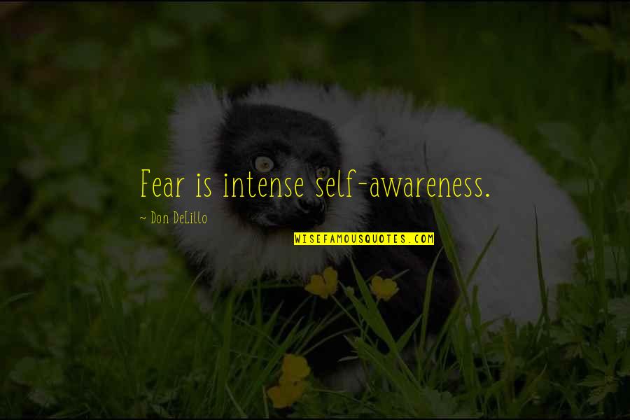 Rurales Mexican Quotes By Don DeLillo: Fear is intense self-awareness.