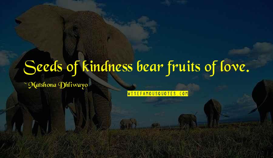 Rusakov Quotes By Matshona Dhliwayo: Seeds of kindness bear fruits of love.