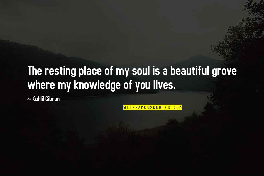 Ruscellos Quotes By Kahlil Gibran: The resting place of my soul is a