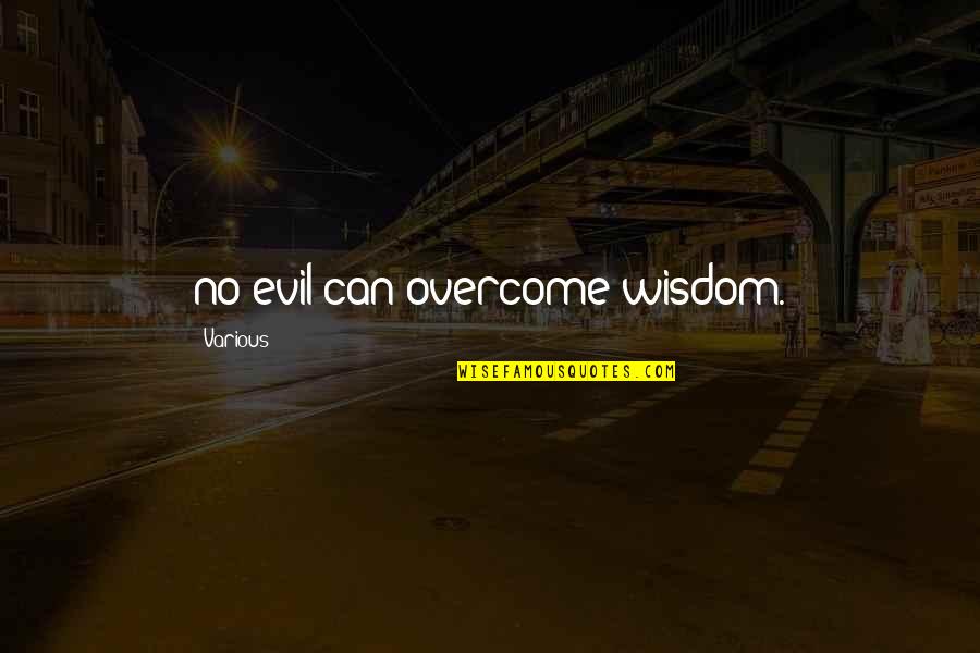 Rusdy Murni Quotes By Various: no evil can overcome wisdom.
