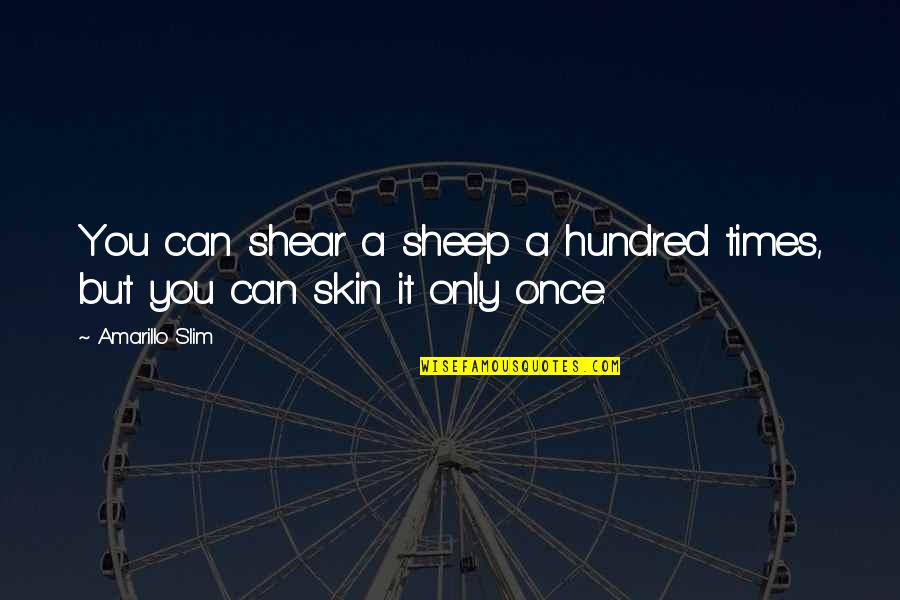 Rush Band Quotes By Amarillo Slim: You can shear a sheep a hundred times,